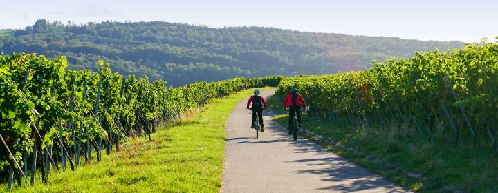 Vacances à vélo entre amis <strong>autour de Bordeaux : l'Entre-deux-Mers</strong>