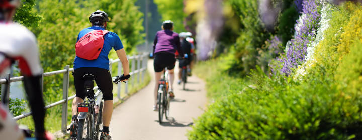 Vacances à vélo en couple  <strong>dans les Alpilles et le Lubéron</strong>
