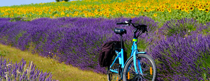 Vacances à vélo en couple  <strong>dans les Alpilles et le Lubéron</strong>