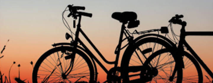 Vacances à vélo en famille <strong>en Charentes et dans le Marais Poitevin</strong>